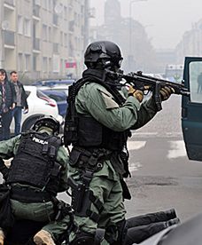 Jak się zachować w czasie zamachu i akcji antyterrorystycznej