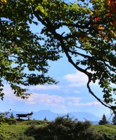 Czego spodziewać się po wrześniu?