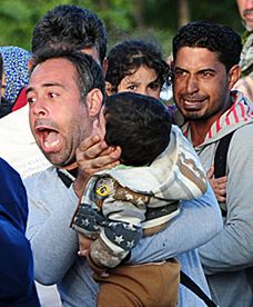 Kolejne niepokoje na granicy węgiersko-serbskiej