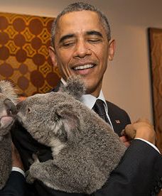 Światowi liderzy G-20  i "misie koala" razem w Australii