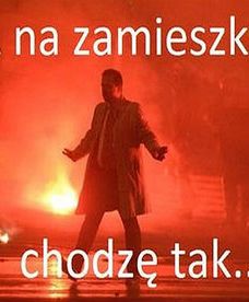 Internauci o zamieszkach podczas Święta Niepodległości