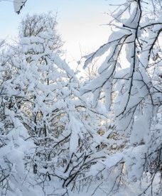 Prognoza długoterminowa - powrót zimy