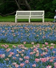 Najważniejsze wydarzenia 2014 roku w pogodzie