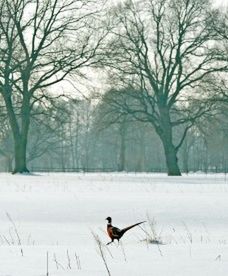 Nadchodzi wielka zmiana pogody - prognoza długoterminowa