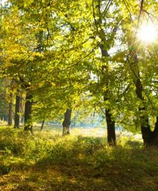 Pogodowe skrajności marca