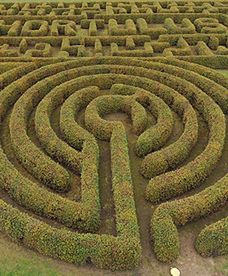 Ogrody Hortulus w Dobrzycy