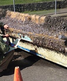 Resztki po tsunami w Kalifornii