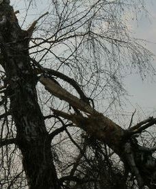 Tak media informowały o katastrofie smoleńskiej