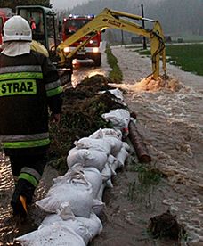 To zdarzyło się w Polsce