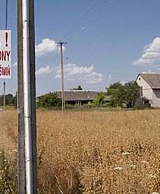 To zdarzyło się w Polsce