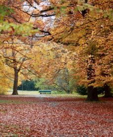 Pogodowa charakterystyka września w Polsce