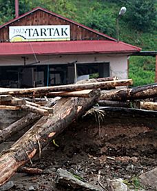 Zniszczenia w Kasince Małej po nawałnicy