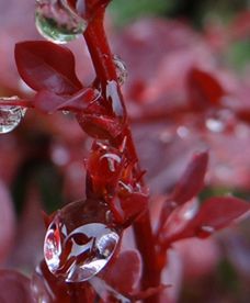 Prognoza pogody na weekend