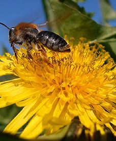 Pogoda długoterminowa