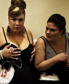 Wybory miss puszystych