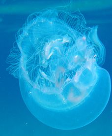Wspomnienia z wakacji