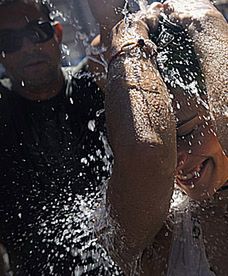 Filmowy przegląd tygodnia