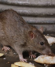 Filmowy przegląd tygodnia