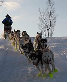 Wyścig za północnym kręgiem podbiegunowym