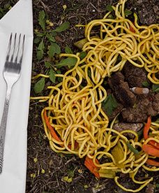 L.U.C. walczy z psimi odchodami we Wrocławiu