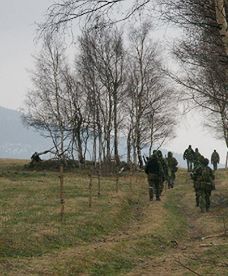 "Epidemia" w Kotlinie Kłodzkiej