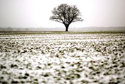 Prognoza pogody na grudzień