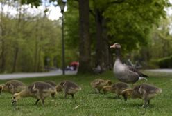 Marzec - pierwszy miesiąc wiosny