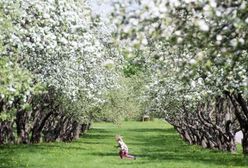 Kwiecień w polskiej pogodzie