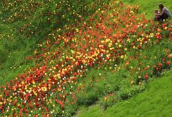Wielka zmiana pogody w Polsce!