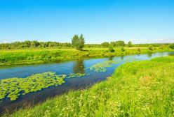 Najnowsza prognoza pogody na czerwiec