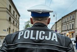 Nietypowe interwencje policji, strażaków, służby granicznej