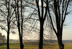 Prognoza pogody na weekend