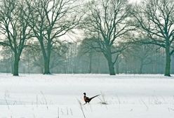 Nadchodzi wielka zmiana pogody - prognoza długoterminowa