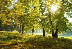 Pogodowe skrajności marca