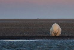 Skutki zmian klimatycznych na Ziemi
