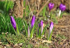 Czy w marcu może być 30 stopni?