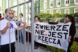 Protest przeciwko wykorzystywaniu zwierząt w cyrkach