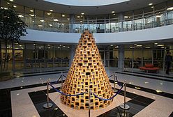 Niezwykła choinka w Olsztynie