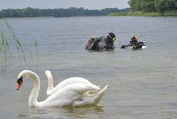 Sezonowa prognoza pogody