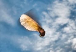 Prognoza długoterminowa - zmiana pogody