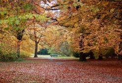 Pogodowa charakterystyka września w Polsce