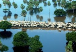 Co z tegorocznym "El Nino"?