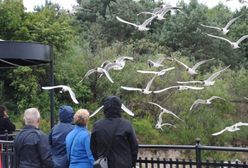 Prognoza długoterminowa - idzie nowe