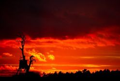 Prognoza długoterminowa - nie będzie źle!