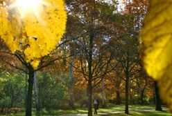 Prognoza długoterminowa - anomalia pogodowa!