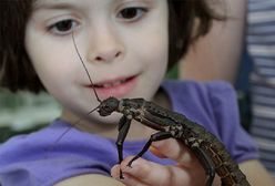 To zdarzyło się w Polsce!