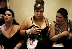 Wybory miss puszystych