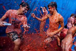 Pomidorowe szaleństwo jest ich dumą