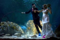 Niezwykły ślub pod wodą