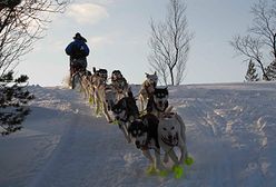 Wyścig za północnym kręgiem podbiegunowym